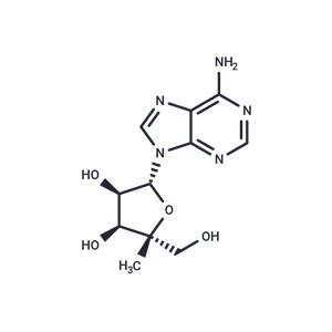 4'-Methyladenosine
