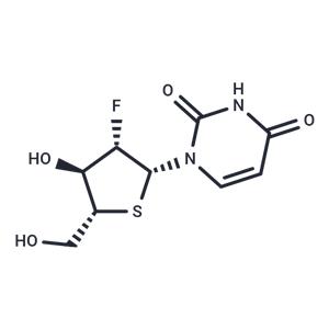 2'-Deoxy-2'-fluoro-4'-thio-b-D-arabinouridine