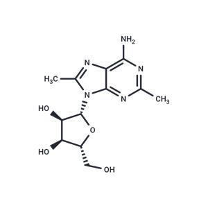 2,8-Dimethyladenosine
