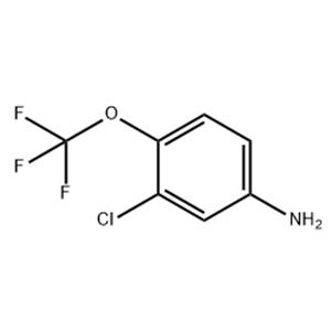 3-Chloro-4-trifluoro Methoxy aniline
