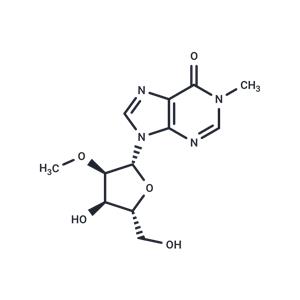 2'-O-Methyl-N1-methyl ? inosine