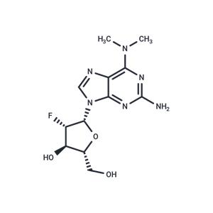 2-Amino-N6,N6-dimethyl-2'-deoxy-2'-fluoro-beta-D-arabinoadenosine