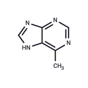 6-Methylpurine