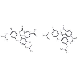 5(6)-Carboxy-2′,7′-dichlorofluorescein diacetate