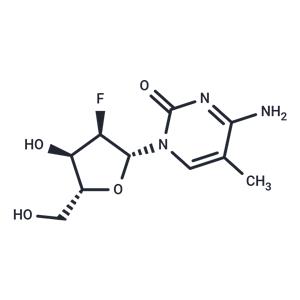2'-Deoxy-2'-fluoro-5-methylcytidine