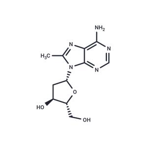 8-Methyl-2'-deoxyadenosine