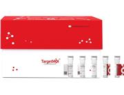  SARS-CoV-2 Spike RBD Protein (R346K & E484K & N501Y, His)