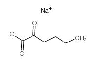 2-KETOHEXANOIC ACID SODIUM SALT