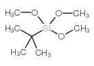 tert-butyl(trimethoxy)silane
