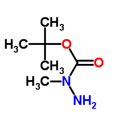 tert-Butyl 2-methylcarbazate