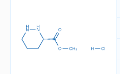 (S)-Methyl hexahydropyridazine-3-carboxylate hydrochloride