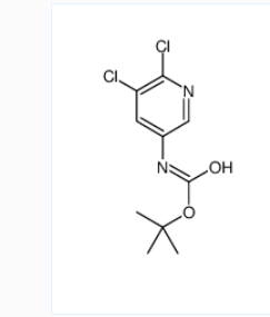 TERT-BUTYL 5,6-DICHLOROPYRIDIN-3-YLCARBAMATE