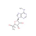 5'(R)-C-Methyl-N6-methyladenosine