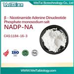 β-Nicotinamide adenine dinucleotide phosphate sodium salt（NADP-Na）