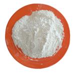 Polyvinylpyrrolidone cross-linked