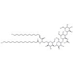 Ganglioside GM1 Asialo Mixture