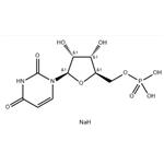 Uridine 5′-monophosphate disodium salt 