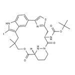 Carbamic acid, N-[(14S,18S)-18,19,20,21-tetrahydro-2-iodo-25,25-dimethyl-15,22-dioxo-17H-5,3-([4,2]-endo-thiazolopropano[1,3]-endo-pyridazinomethanoxypropano)-1H-indol-14-yl]-, 1,1-dimethylethyl ester