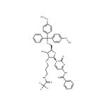 N4-Benzoyl-5'-O-DMTr-2'-O-(N3-trifluoroacetyl) aminopropyl cytidine
