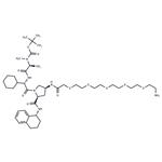A 410099.1 amide-PEG5-amine