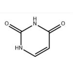 66-22-8 Uracil