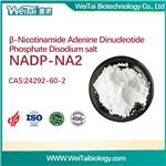 β-Nicotinamide Adenine Dinuclotide Phosphate disodium salt (NADP-NA2)