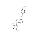 N6-(4-Methoxybenzyl)-2'-C-methyl adenosine