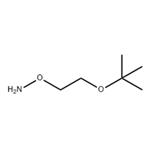 O-(2-tert-butoxyethyl)hydroxylaMine