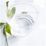 Oxydipropyl dibenzoate