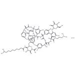 Dalbavancin hydrochloride