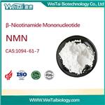 β-Nicotinamide Mononucleotide (NMN)