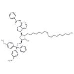 N6-Bz-5'-O-DMTr-2'-O-hexadecanyl adenosine