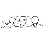 Diplopterol pictures