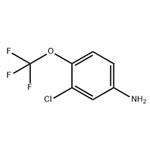 3-Chloro-4-trifluoro Methoxy aniline
