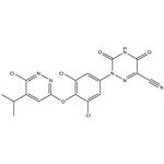 2-(3,5-dichloro-4-((6-chloro-5-isopropylpyridazin-3-yl)oxy)phenyl)-3,5-dioxo-2,3,4,5-tetrahydro-1,2,4-triazine-6-carbonitrile