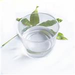 ETHYLENE GLYCOL MONO-TERT-BUTYL ETHER
