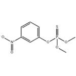 Thiophosphoric acid O,O-dimethyl O-(m-nitrophenyl) ester