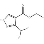 ETHYL 3-(DIFLUOROMETHYL)-1H-PYRAZOLE-4-CARBOXYLATE