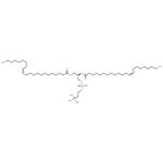 1,2-Dierucoyl-sn-glycero-3-PC pictures