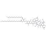 Ganglioside GD3 Mixture (sodium salt)