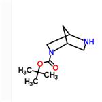 2,5-Diazabicyclo[2.2.1]heptane-2-carboxylic acid tert-butyl ester