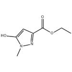 Ethyl 5-hydroxy-1-methyl-1H-pyrazole-3-carboxylate