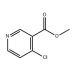 Methyl 4-Chloronicotinate