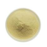 Pyridoxal 5'-phosphate monohydrate