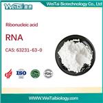 Ribonucleic Acid (RNA)
