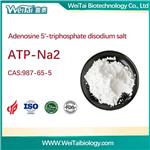 Adenosine 5'-triphosphate disodium salt (ATP-Na2)