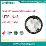 Uridine 5’-triphosphate trisodium salt （UTP-Na3）