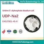 Uridine 5’-diphosphate disodium salt (UDP- Na2)