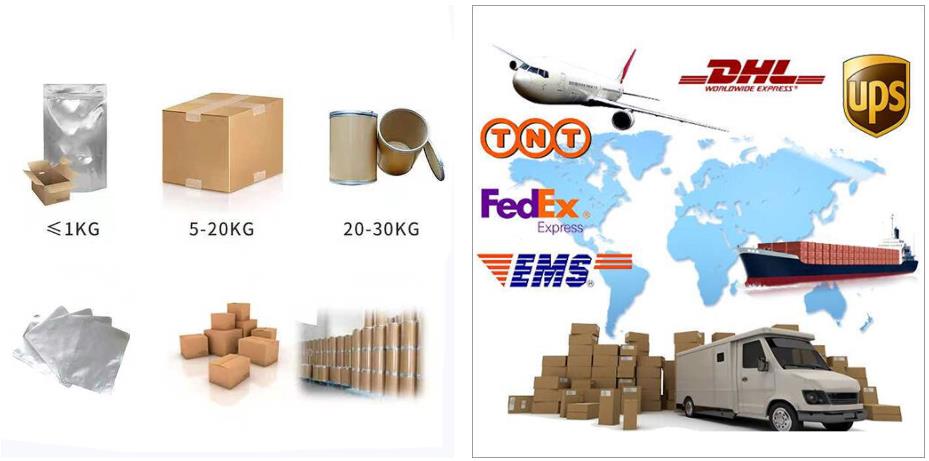 Article illustration