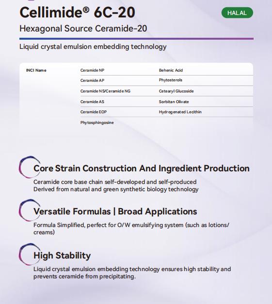 Article illustration